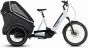 Cube Family Hybrid 1500 2027 Electric Trike