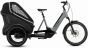 Cube Family Hybrid 1500 2027 Electric Trike