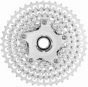Campagnolo Ekar 13-Speed Cassette
