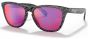 Oakley Frogskins Sunglasses