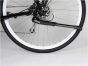 AtranVelo Rex HV Kickstand