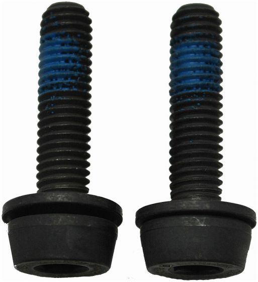 Campagnolo Flat Mount Rear Caliper Bolts