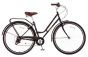 ProBike Vintage Womens Bike