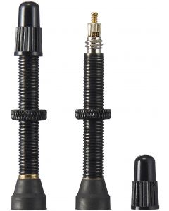 Ritchey Tubeless Valve
