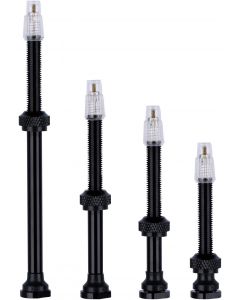Vision Tubeless Valves