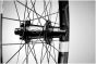 Crank Brothers Synthesis DH 11 Carbon 29-Inch Rear Wheel