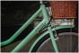Dawes Elegance Electric Heritage Bike