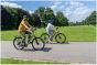 Falcon Horizon Crossbar Electric Bike